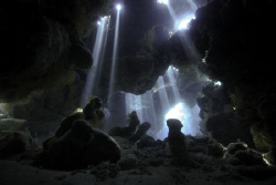 St.Johns caves. Couldn't find the rockband anywhere. by Dray Van Beeck 